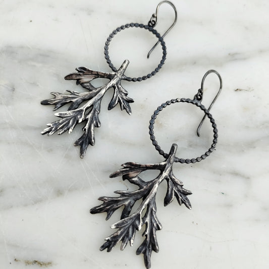 A pair of sterling silver earrings designed to resemble mugwort leaves, displayed against a neutral background, by Alice Scott